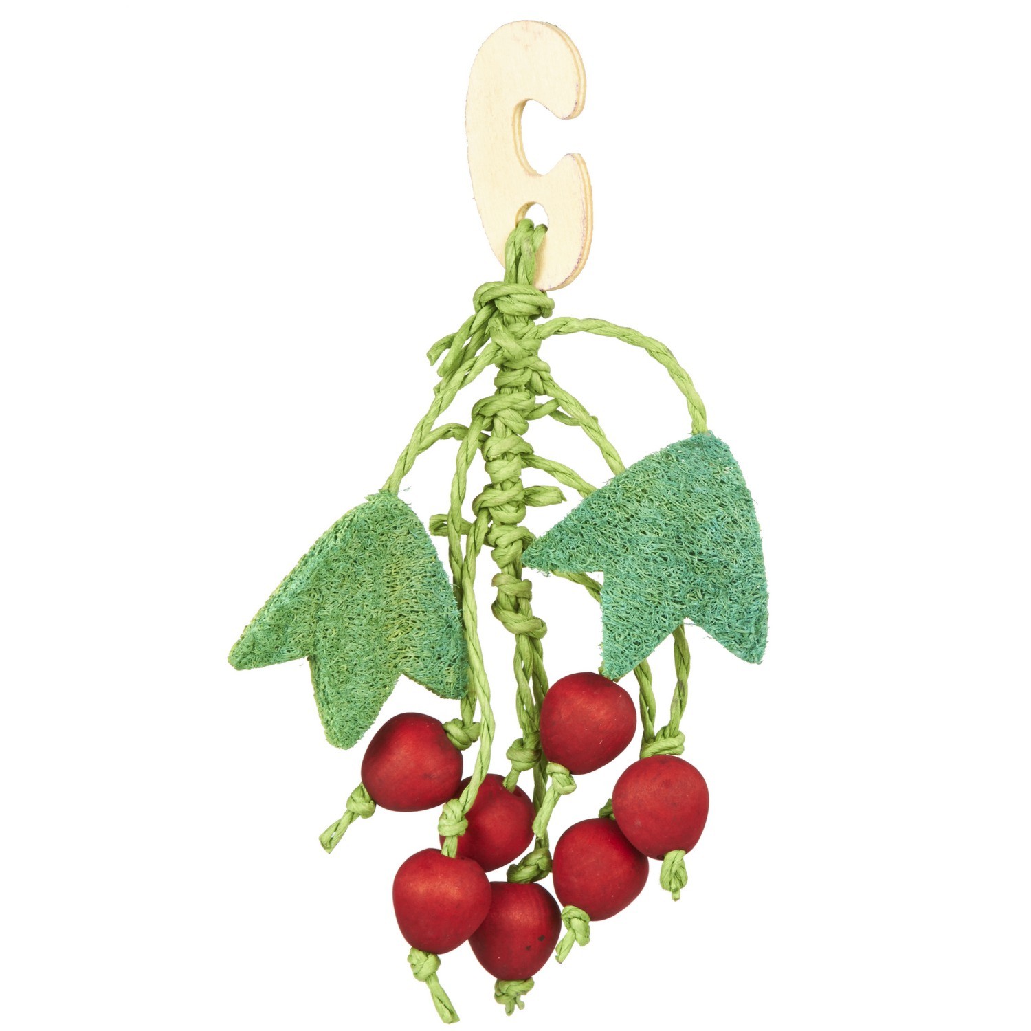 Small Animal Red Fruit Nibbler Toy Image