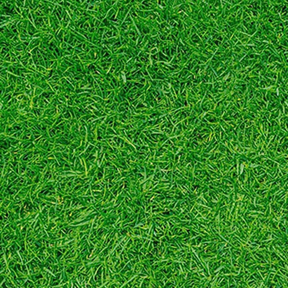 Pro-Kleen Autumn Lawn Feed Granule 2.5kg 4 Pack Image 2