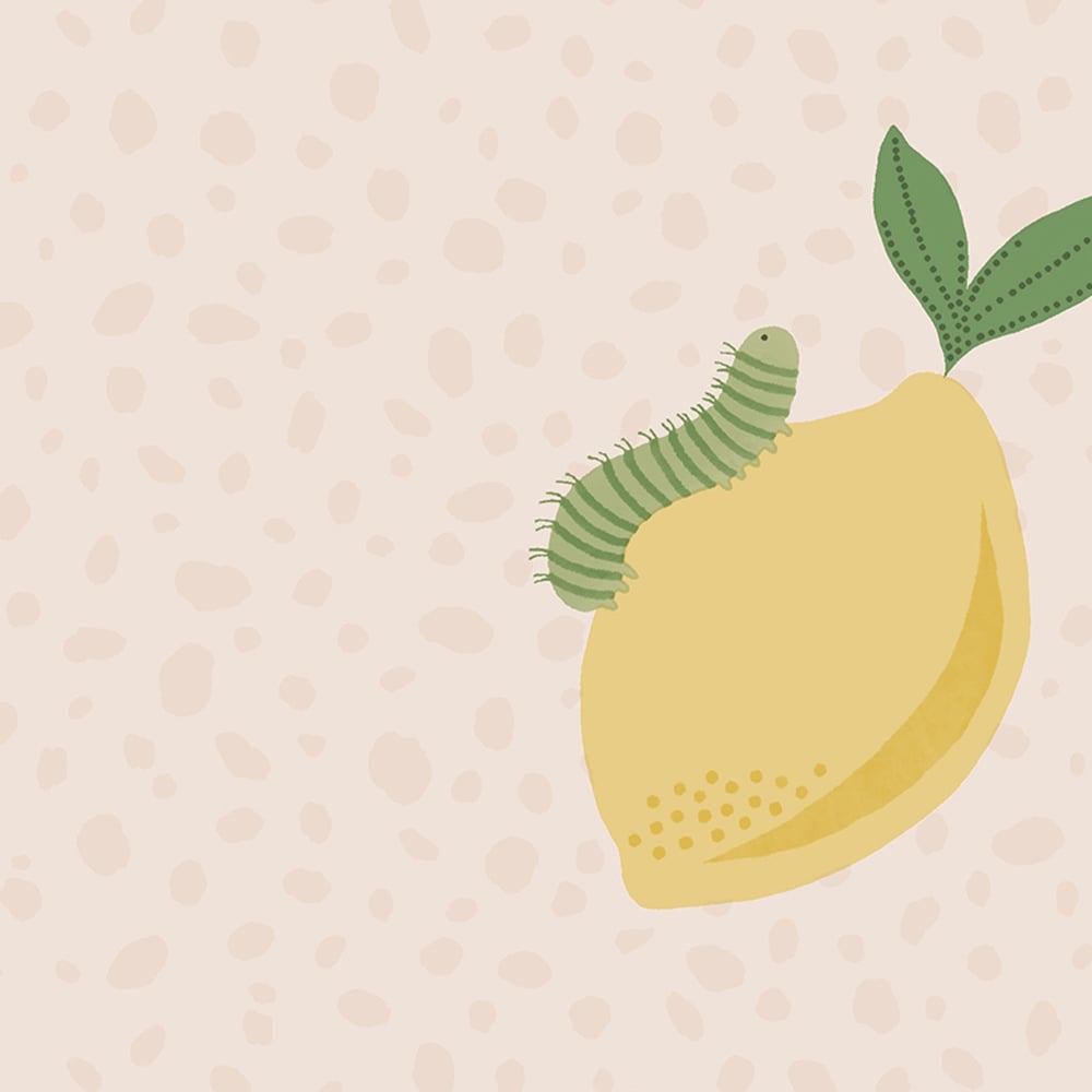 Holden Decor Tutti Fruity Soft Coral Orange Wallpaper Image 4