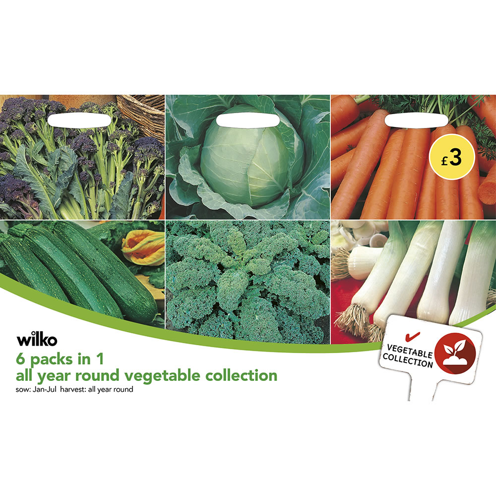 Wilko 6-Packs-in-1 All Year Round Vegetable Collection Seeds Pack Image 2