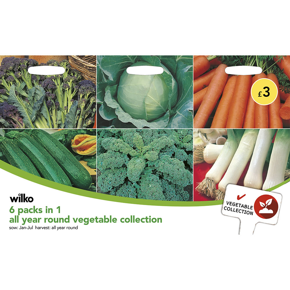 Wilko 6Packsin1 All Year Round Vegetable Collection Seeds Pack Wilko