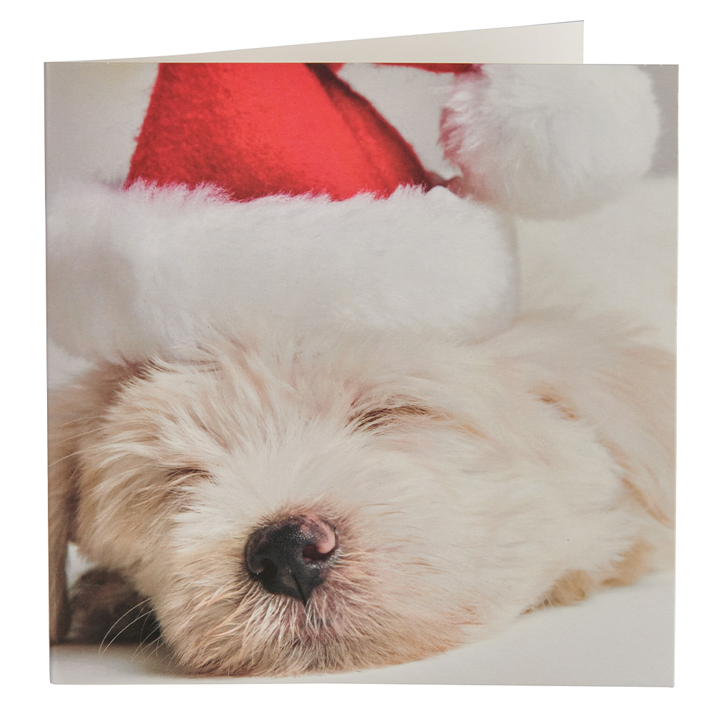 Wilko Puppy Cards 15 Pack Image 2
