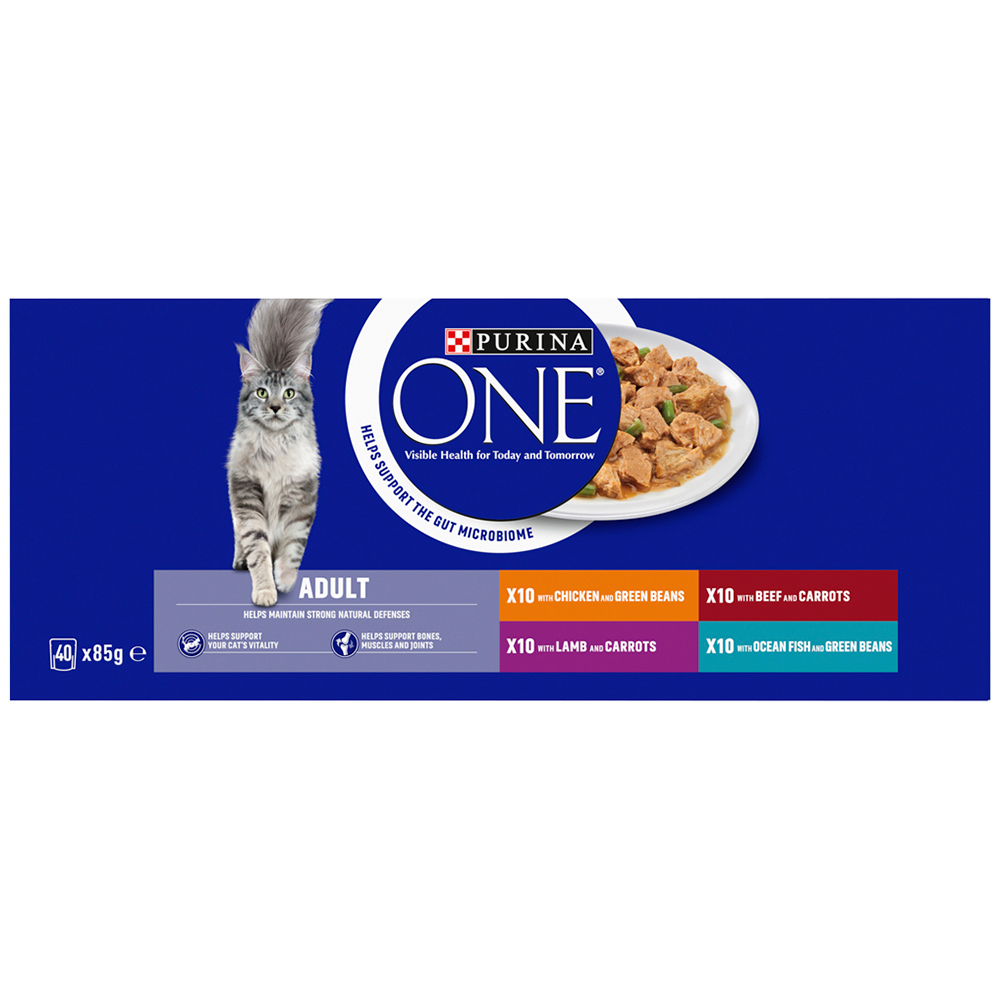 Purina ONE Mini Fillets in Gravy Adult Cat Food 40 x 85g Image 1