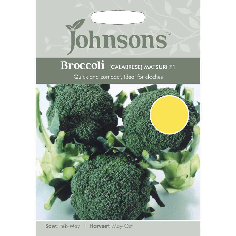 Johnsons Broccoli Calabrese Matsuir F1 Hybrid Seeds Image 2
