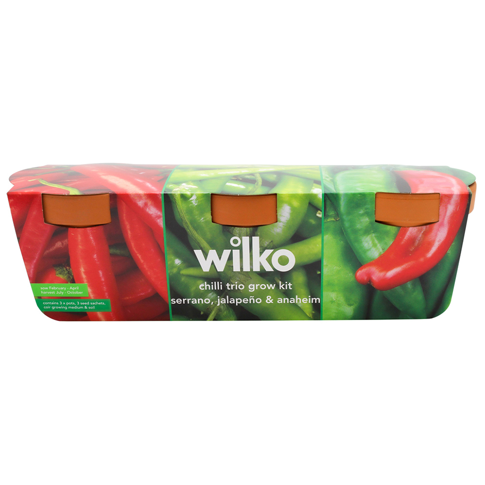 Wilko Chilli Terracotta Trio Pots Image 1