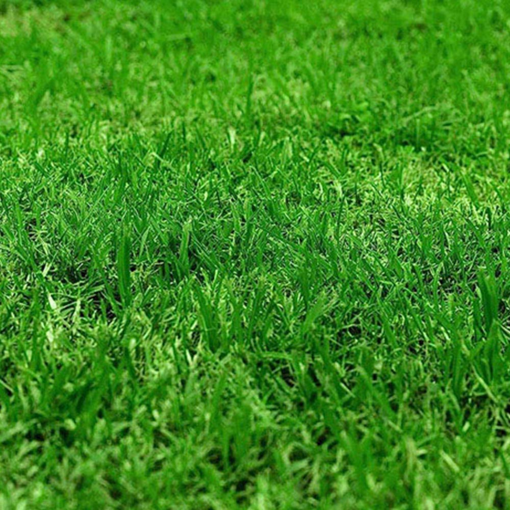 Pro-Kleen Autumn Lawn Feed Granule 2.5kg 3 Pack Image 4