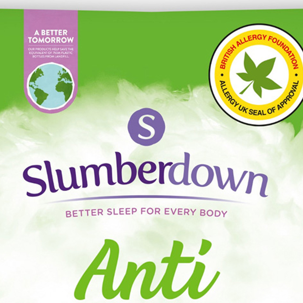 Slumberdown AntiAllergy Pillow Protector 2 Pack Wilko