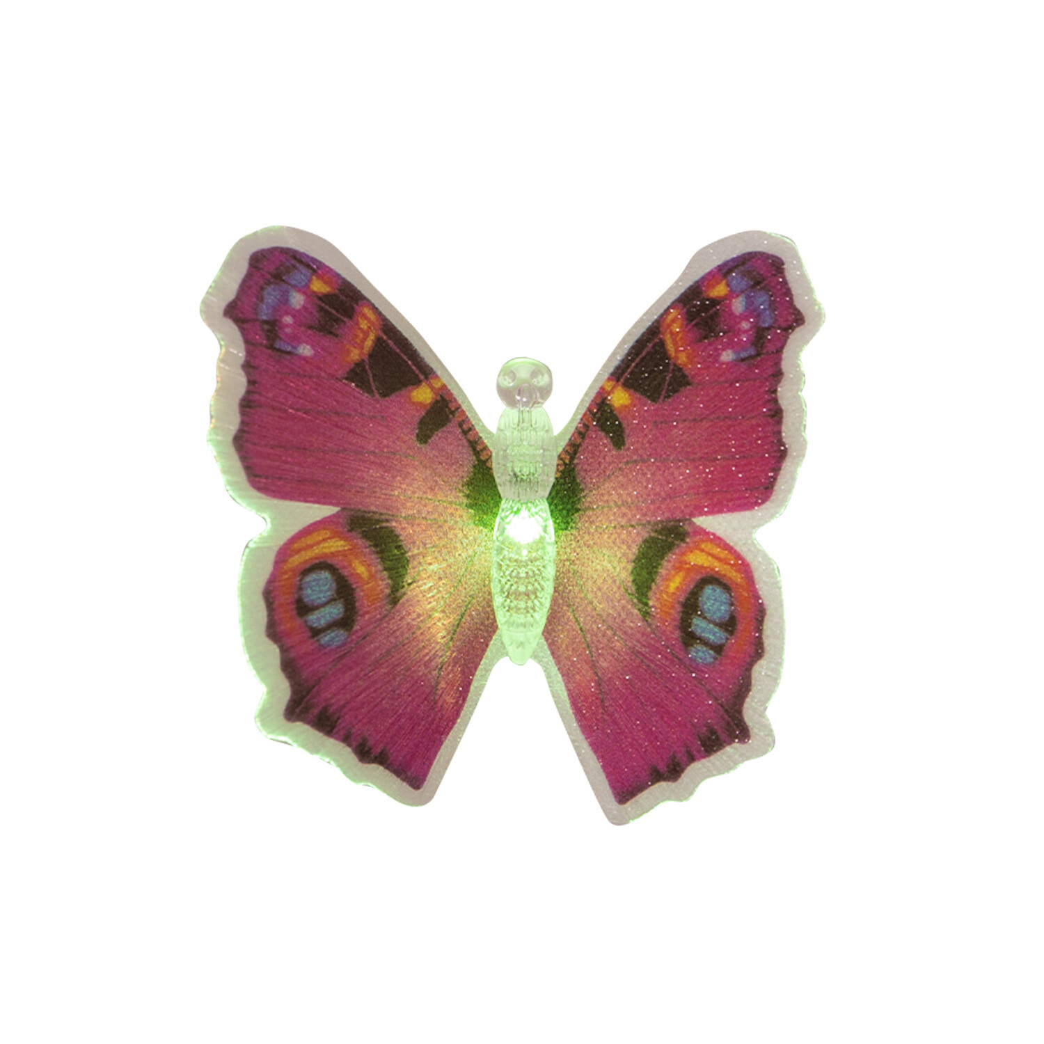 Colour Changing Butterfly Image 2