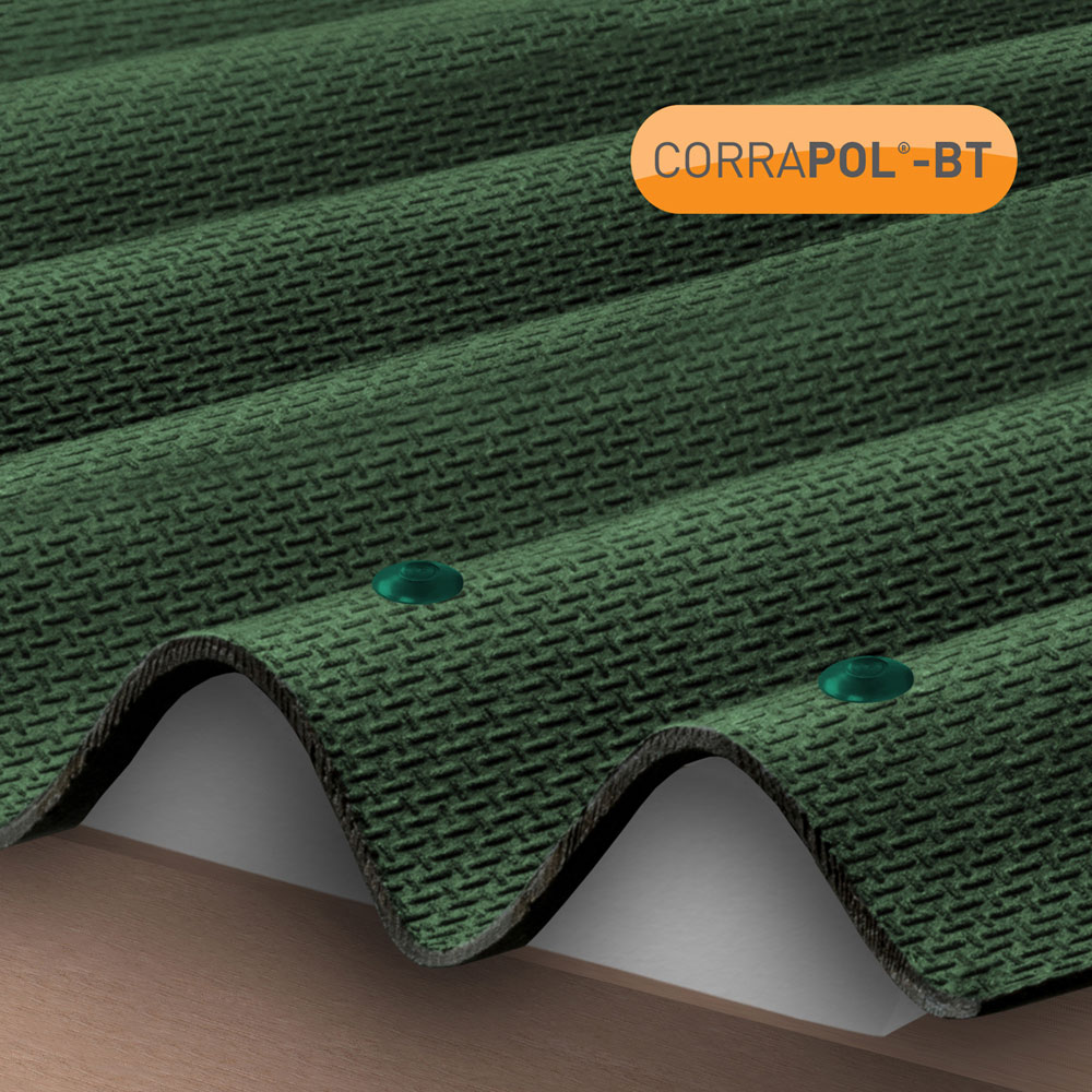 Corrapol-BT Green Corrugated Bitumen Roof Fixings 100 Pack Image 2