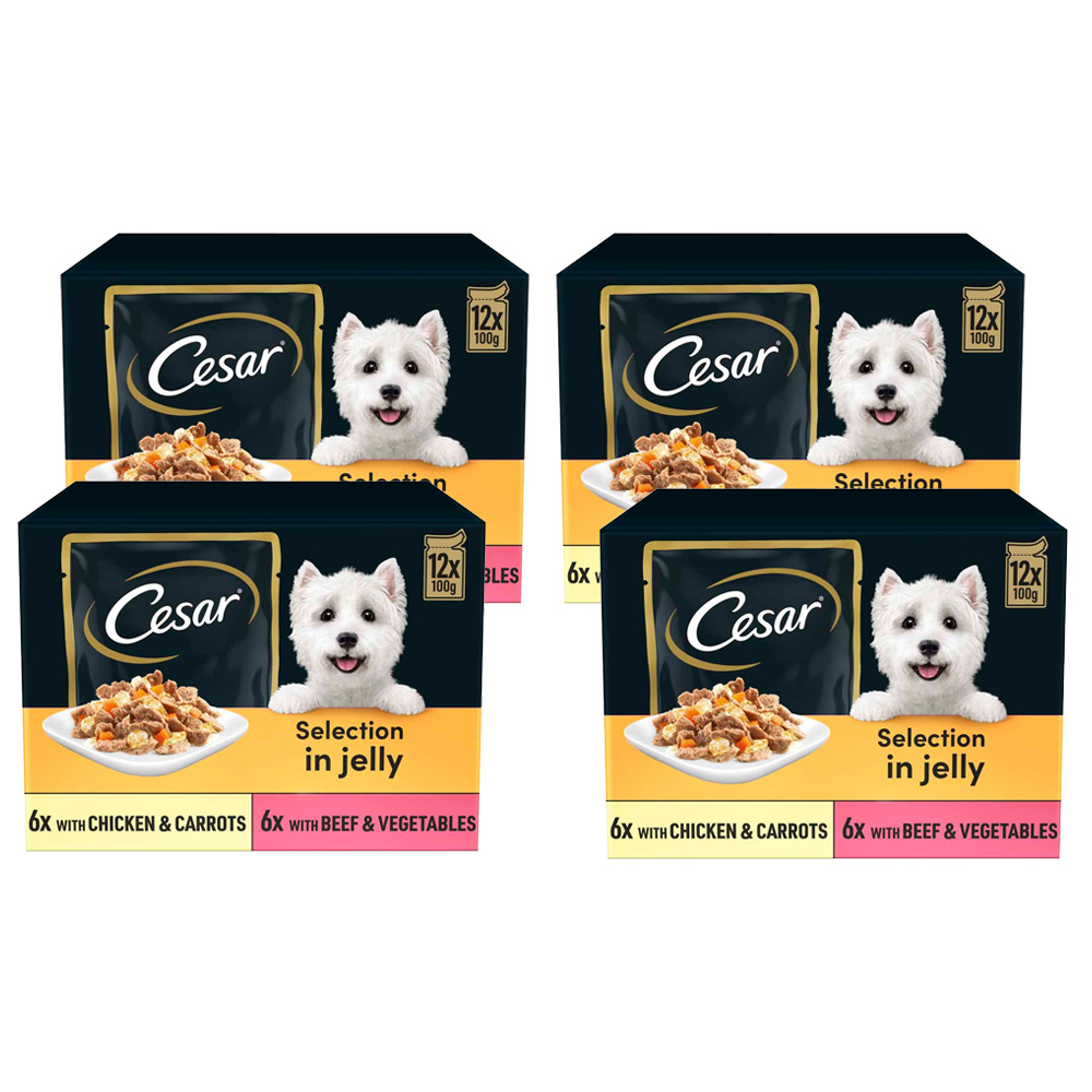 Cesar Deliciously Fresh Dog Food Pouches Mixed Selection in Jelly 100g Case of 4 x 12 Pack Image 1