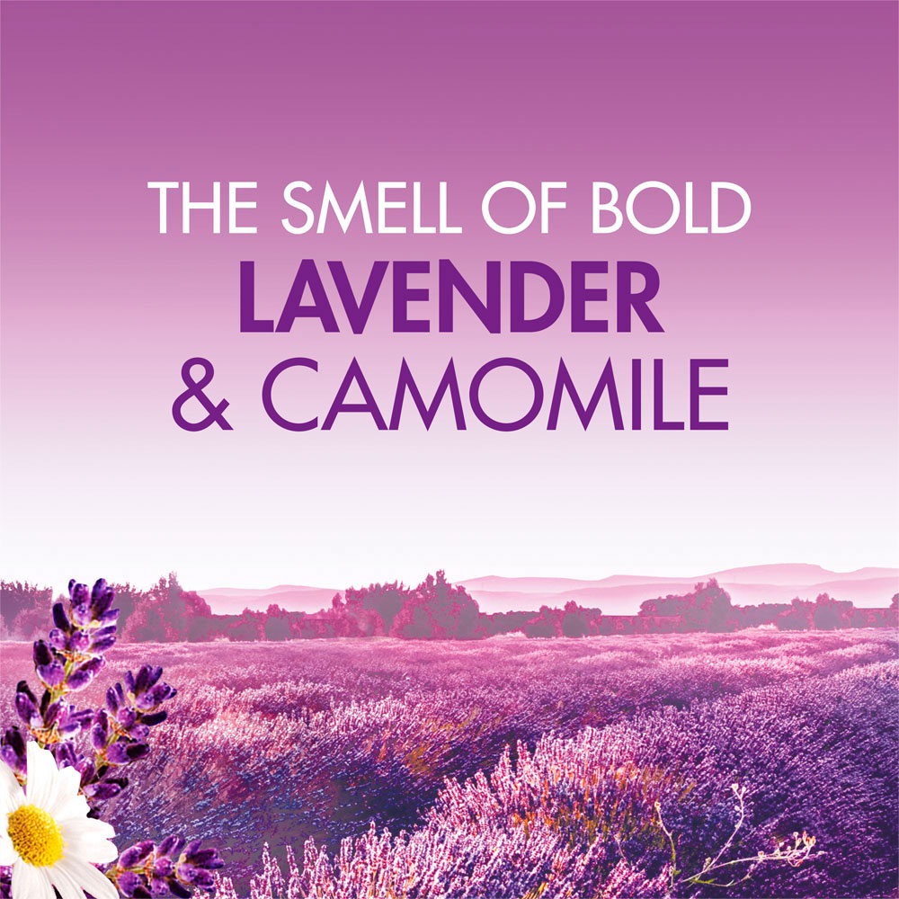 Bold 2 in 1 Lavender and Camomile Washing Liquid 31 Washes Case of 4 x 1L Image 6