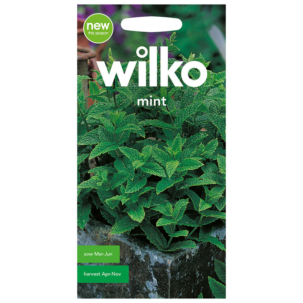 Wilko Mint Seeds Image 2