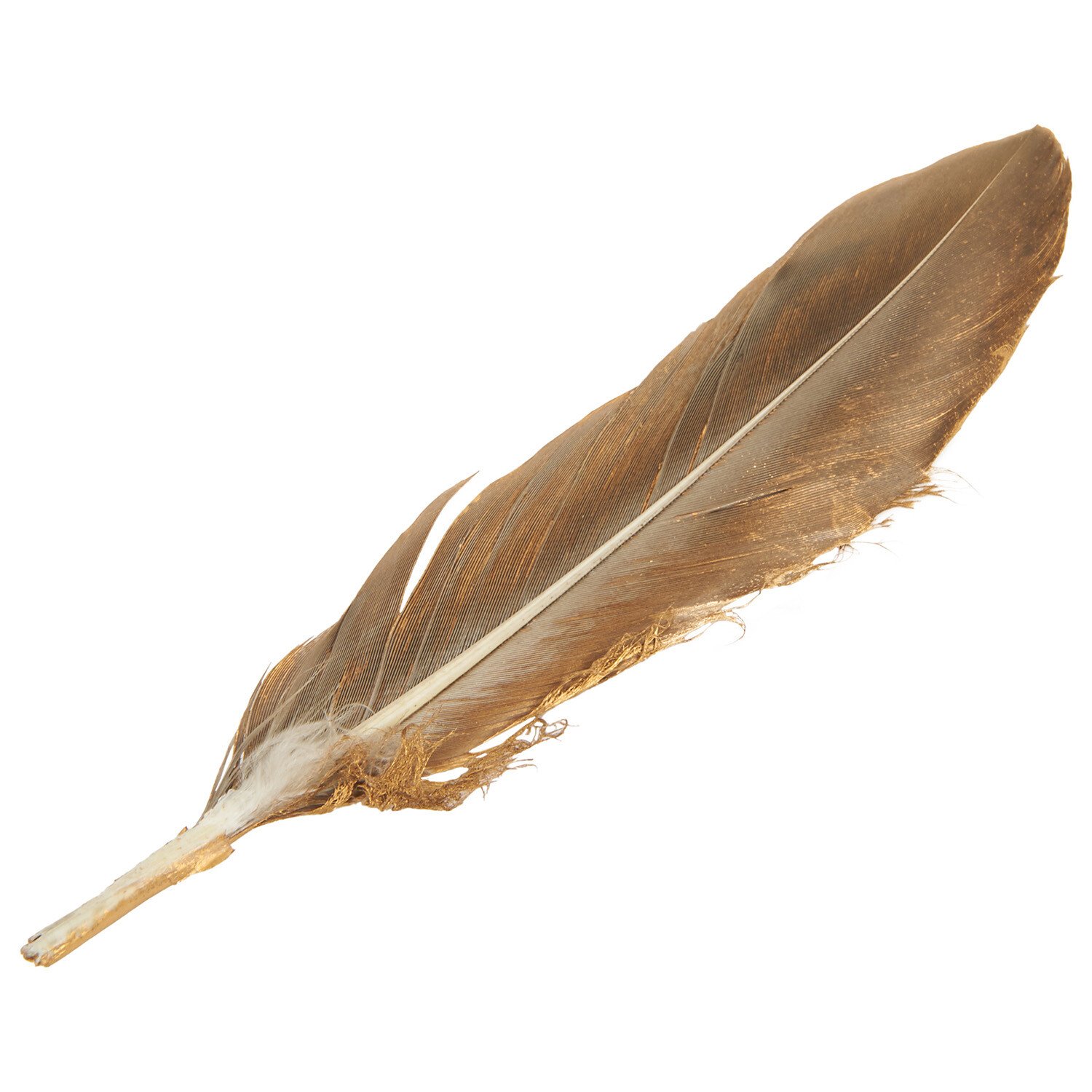 Pack of 6 True Moments Gold or Silver Feathers Image 3