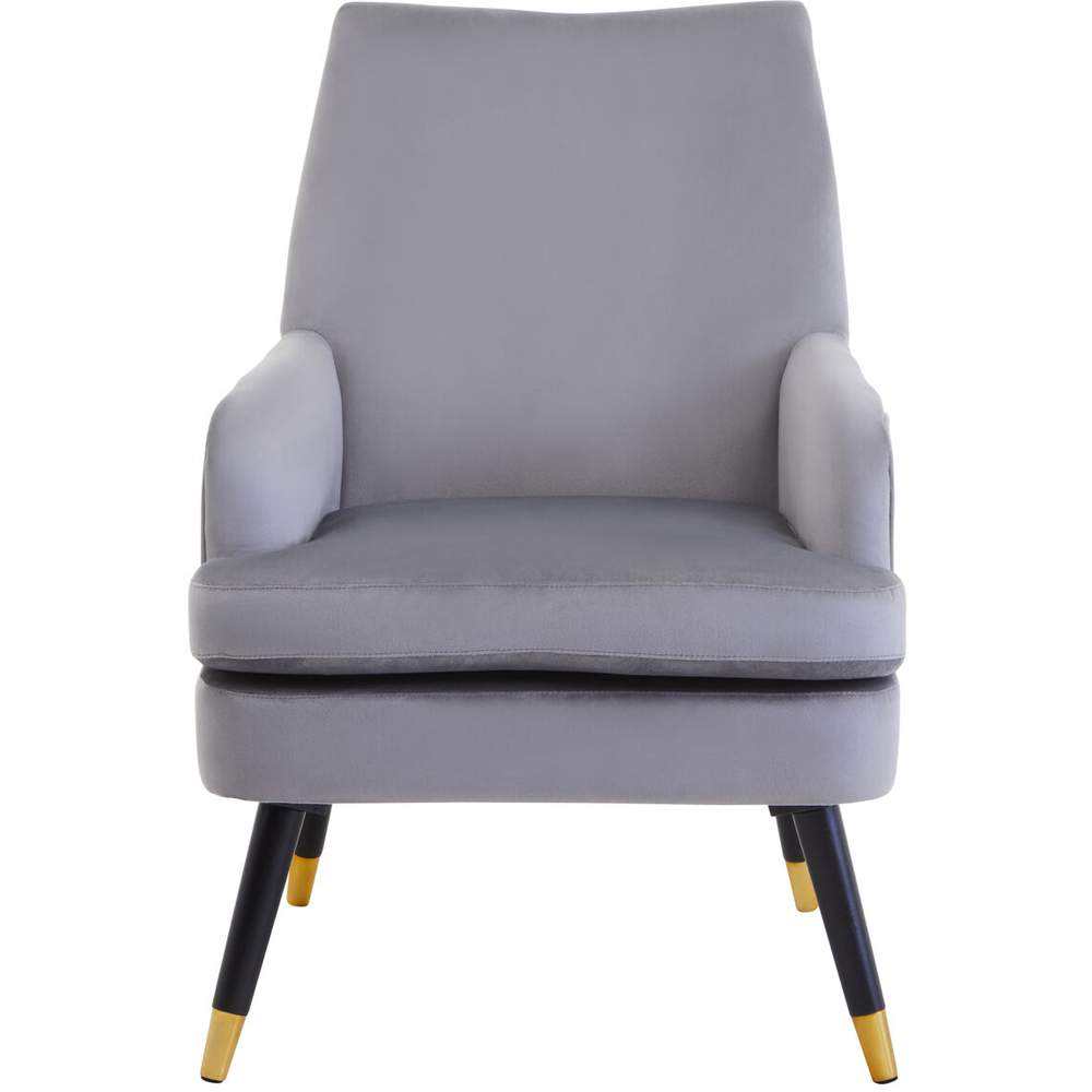 Premier Housewares Loretta Grey Velvet Accent Chair Image 5