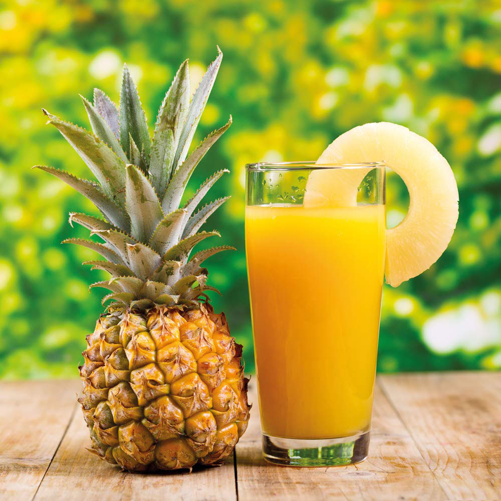 Thompson & Morgan Ornamental Pineapple Potted Plant 12cm Image 7