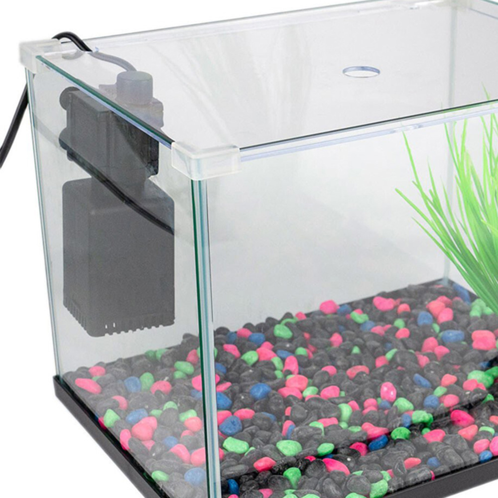 Starter Glass Aquarium Image 5