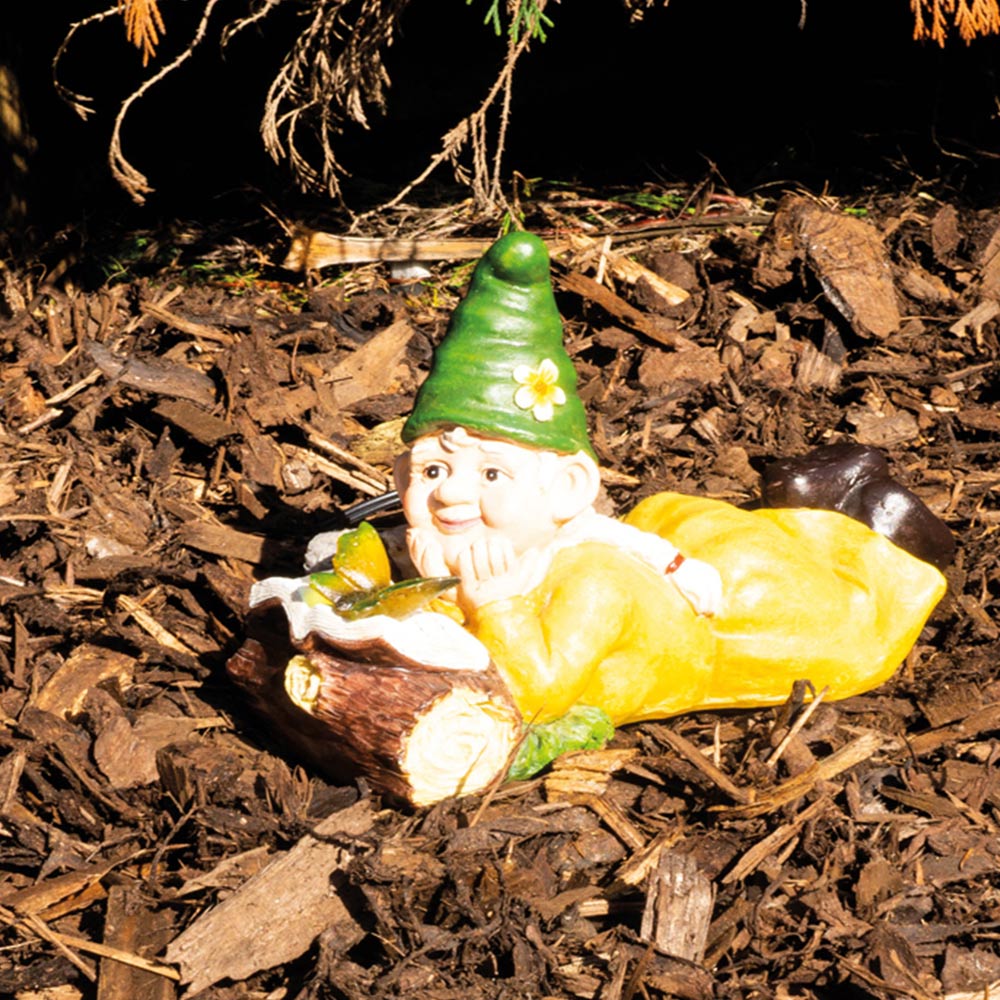St Helens Female Gnome Lying By A Log Image 3