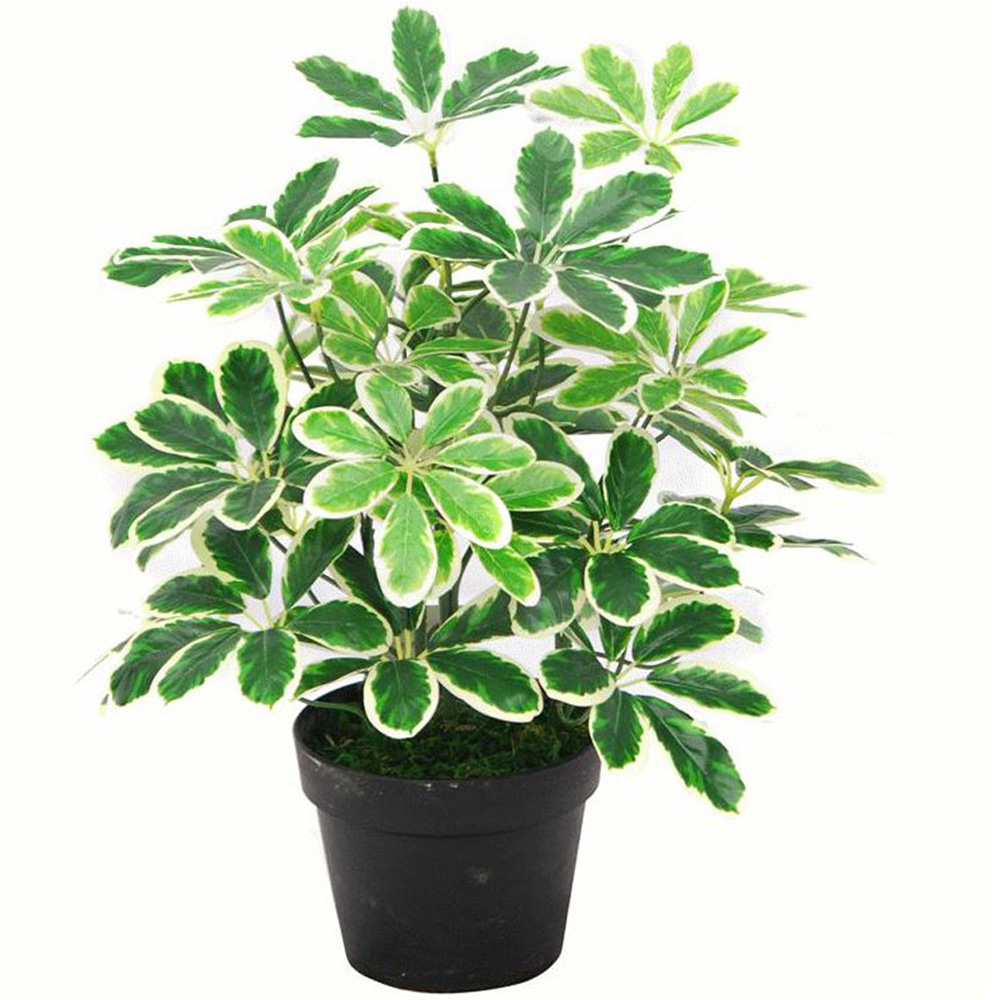 Leaf Arboricola Umbrella Artificial Tree Black Pot 1.8ft Image 1