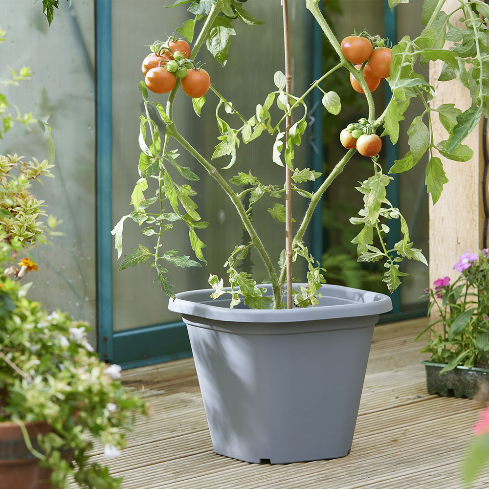 Clever Pots Grey Plastic Tomato Planter 8L Image 6
