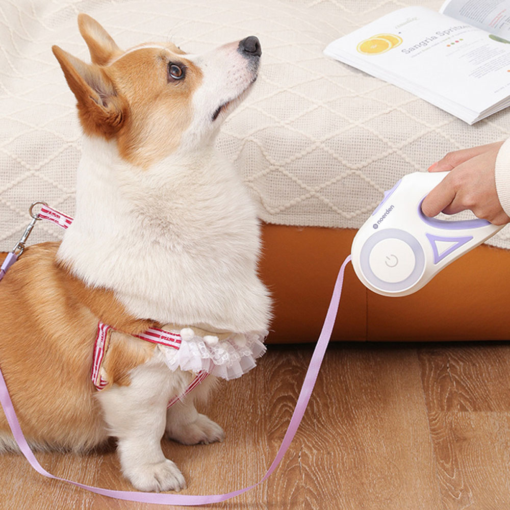 noerden Flexi LED Retractable Pet Leash Image 2