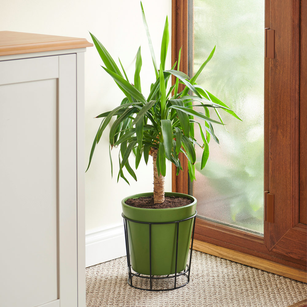 Wilko Indoor Outdoor Duo Plant Pot and Stand 25cm Wilko