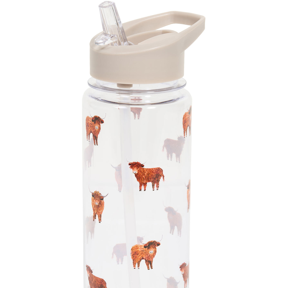 Highland Cow Sports Water Bottle Image 4