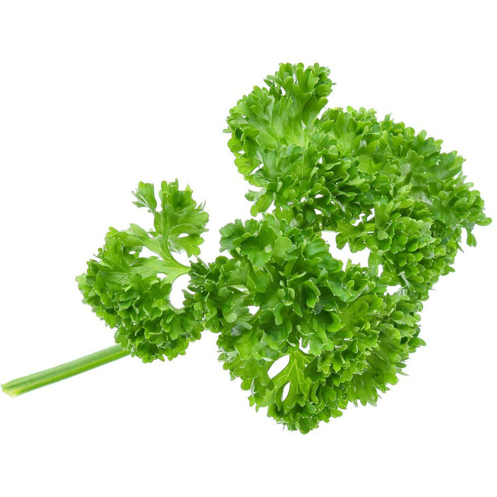 Thompson and Morgan Herb Parsley Champion Seeds Image 2