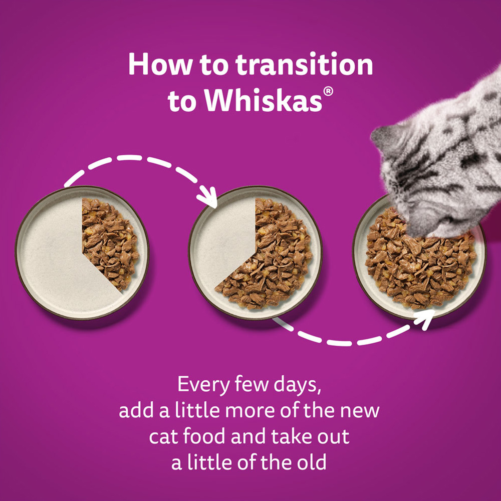 Whiskas Adult Wet Cat Food Pouches Mixed Menu Selection in Jelly 40 x 85g Image 8