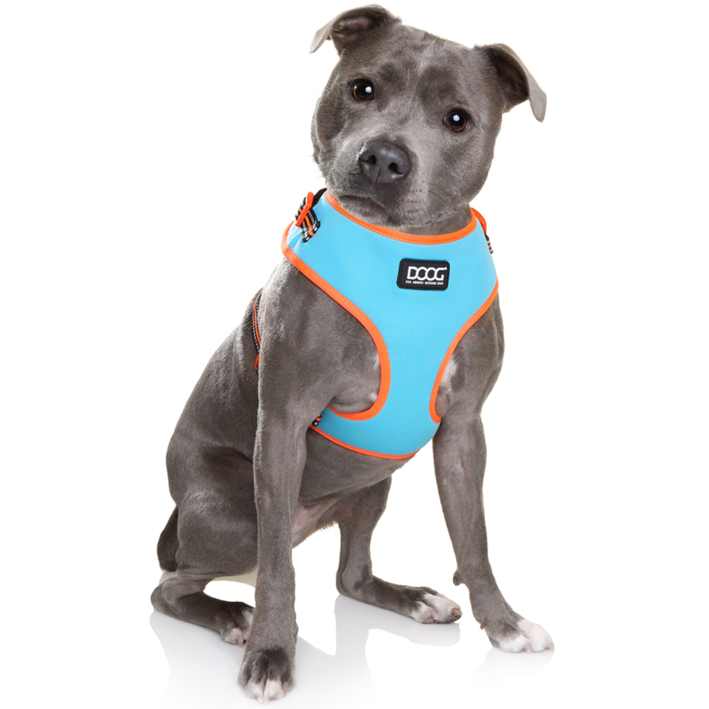 DOOG Small Harbeet Neon Beethoven Dog Harness Image 3