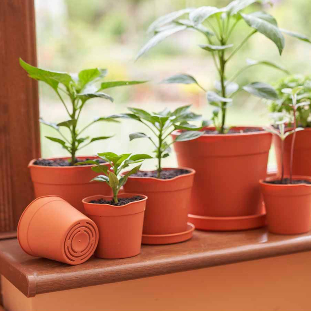 Clever Pots Mini and Small Easy Release Propagation Pots Saucers 5 Pack Image 3
