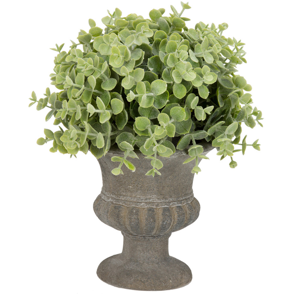 Green Artificial Plant in Urn 24cm Image