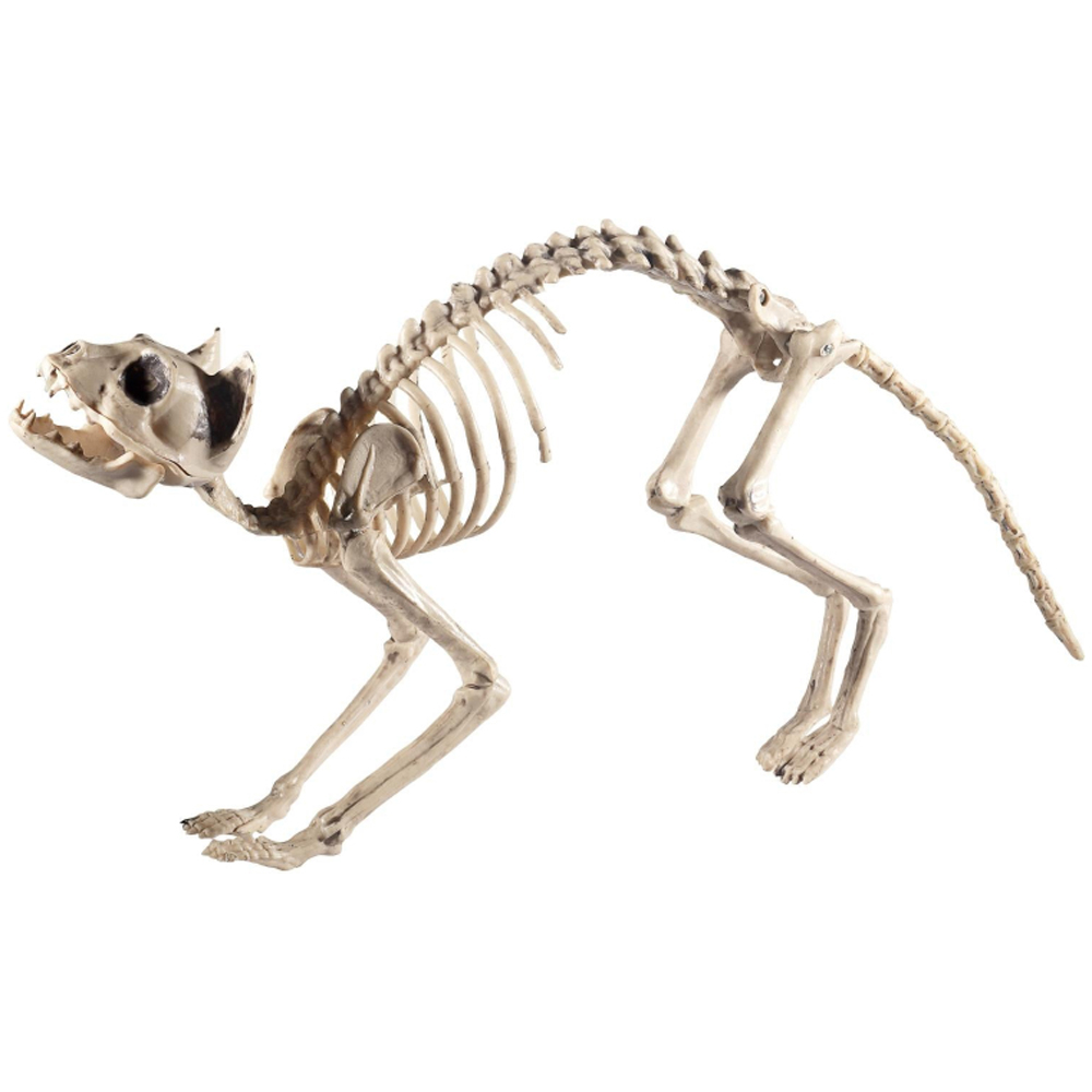 Rubies Cat Skeleton Halloween Decoration 25cm Image 4