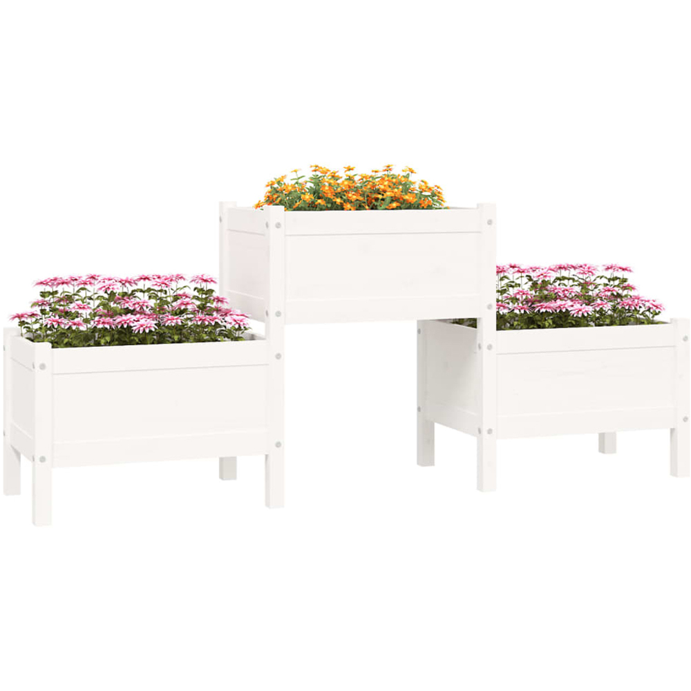 vidaXL 3-Tier White Solid Pine Wood Garden Planter 75 x 178.5 x 44cm Image 2