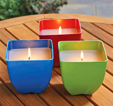 Citronella Candles