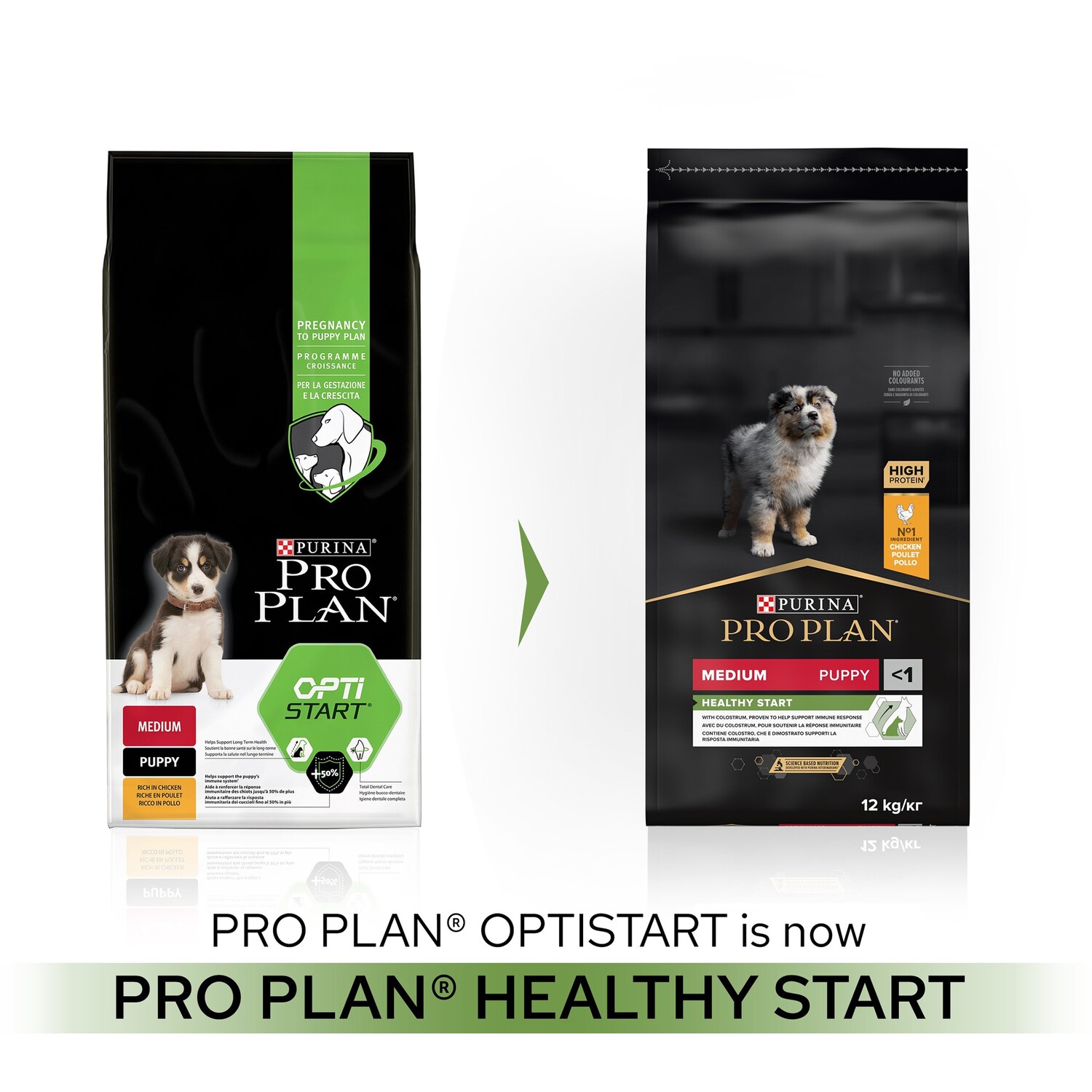Pro Plan Dog Puppy Chicken Image 3