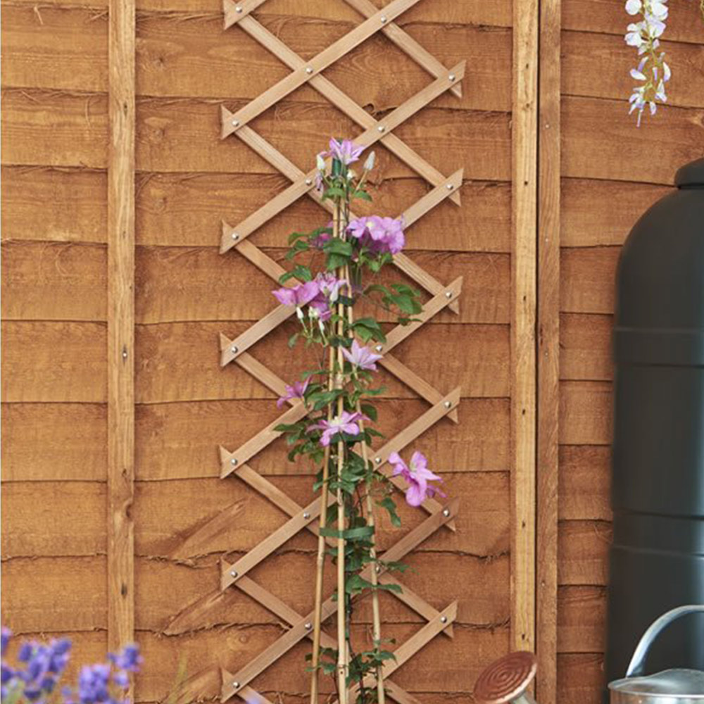 Wilko Expanding Wood Trellis 180 x 30cm Image 2