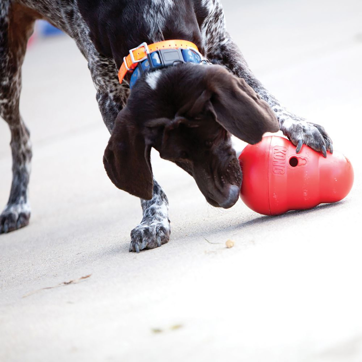 Kong Wobbler Dog Toy - Red Image 3