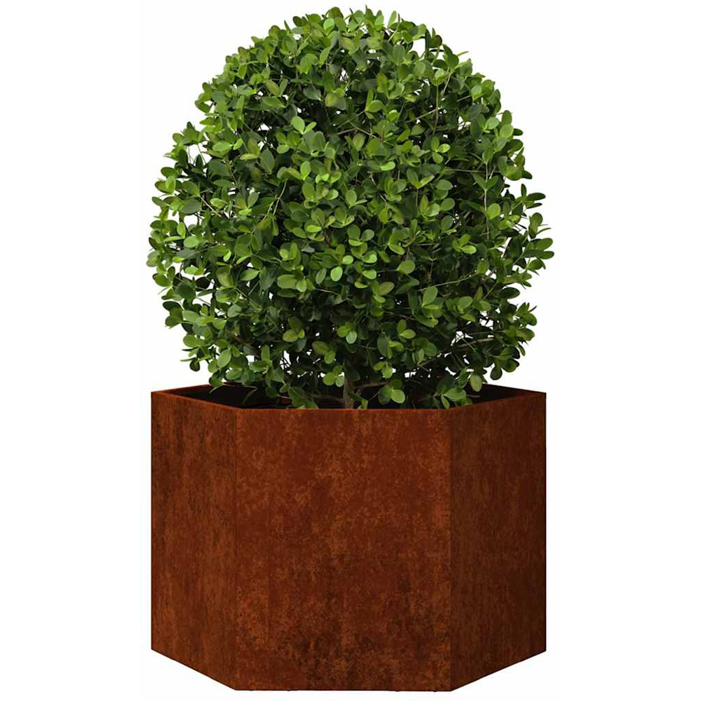vidaXL Brown Corten Steel Garden Planter 45 x 60 x 60cm Image 2