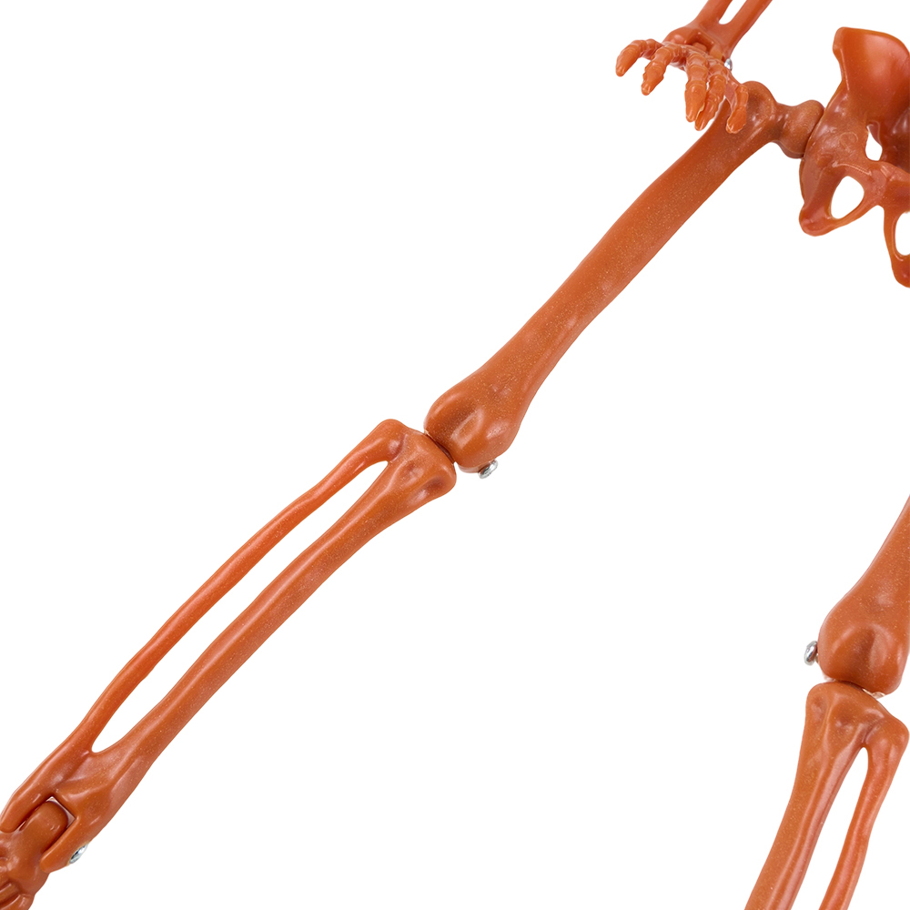 Living and Home Orange Posable Pumpkin Skeleton Halloween Decoration 1.2ft Image 3