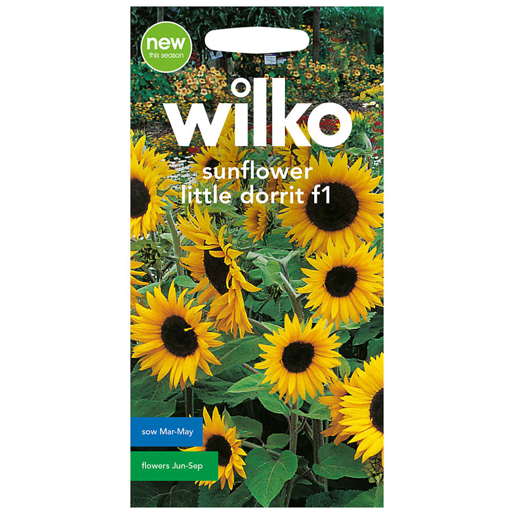 Wilko Sunflower Little Dorit F1 Seeds Wilko