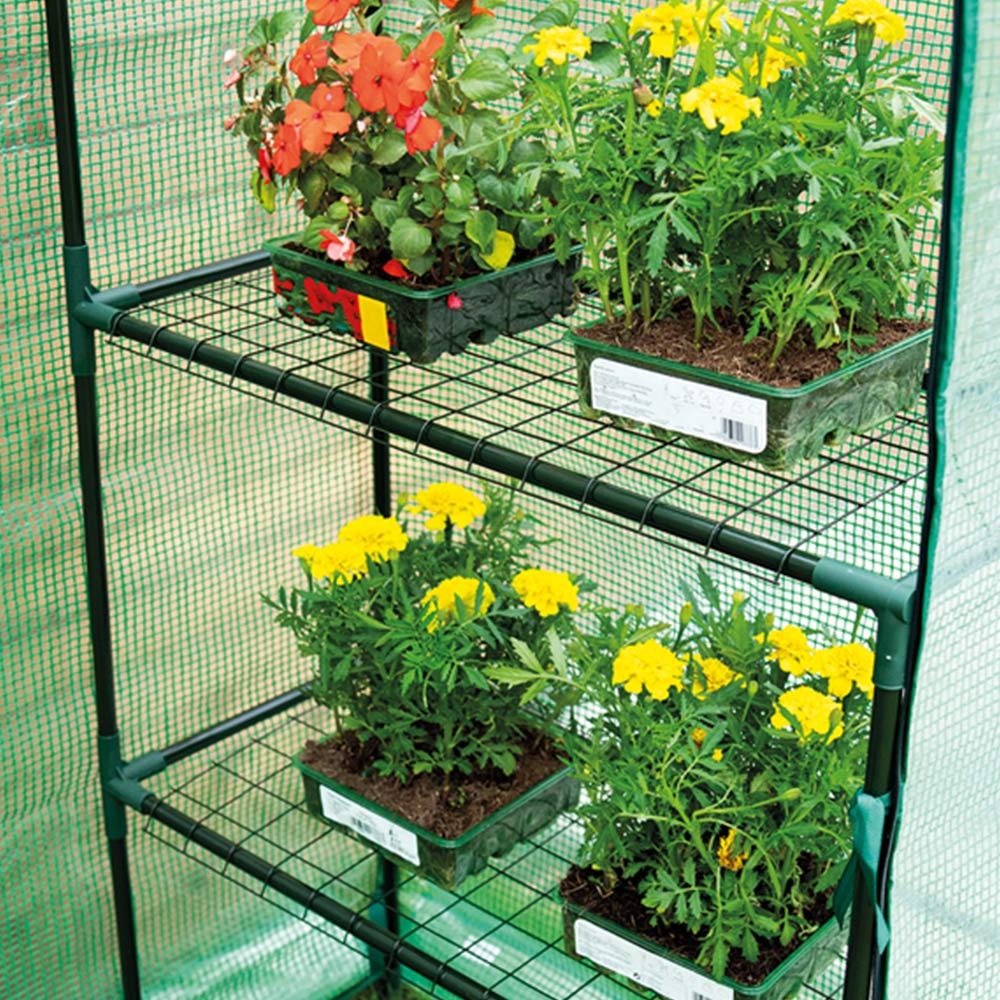 St Helens Green Plastic 4.6 x 2.5ft Walk In Greenhouse Image 4