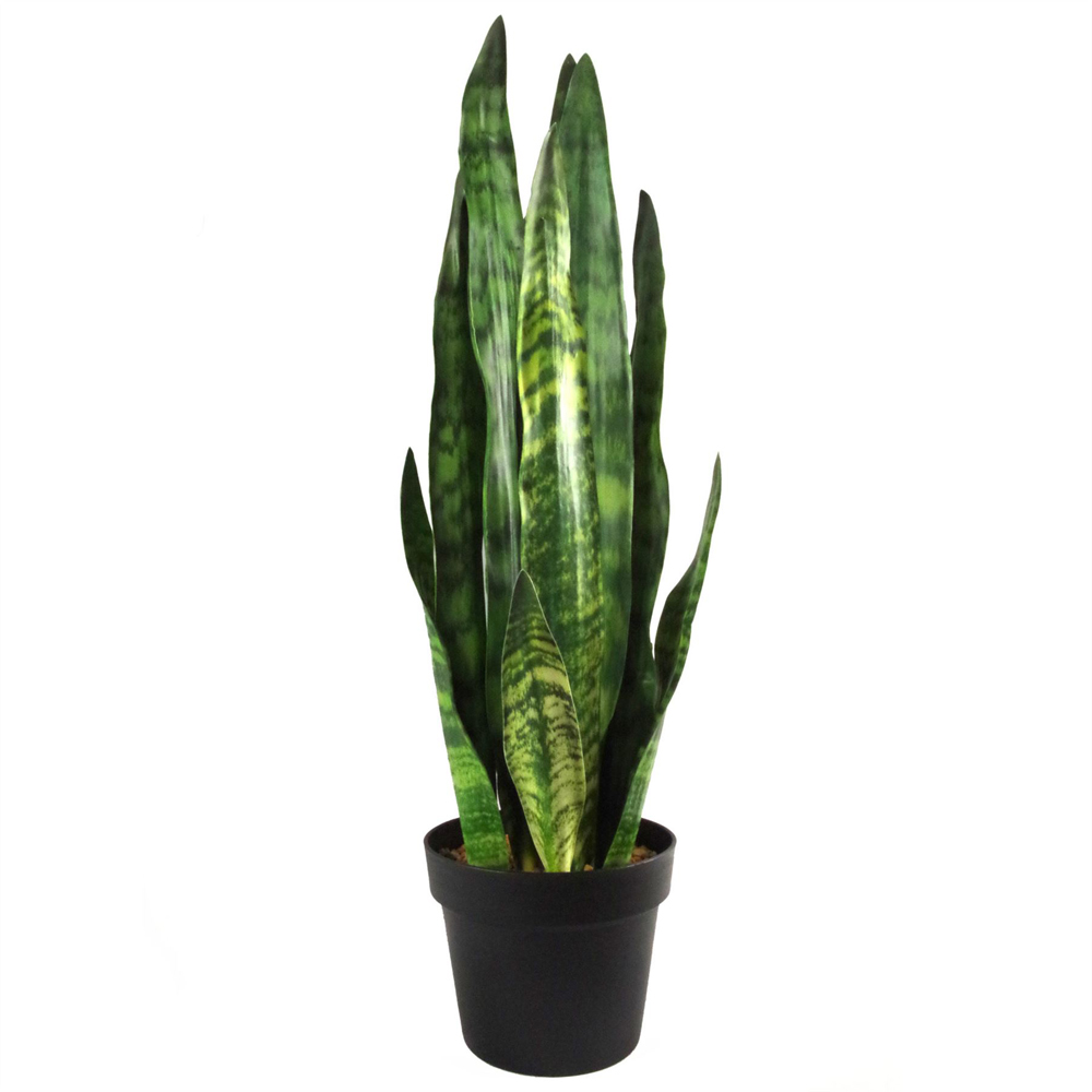 Leaf Sansevieria Zeylanica Artificial Plant Pot 70cm Image 3