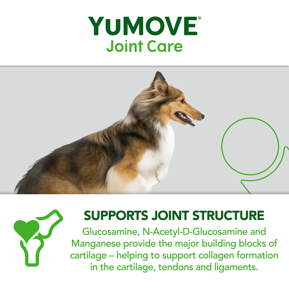 YuMOVE Joint Daily Bite Adult Dogs 60 pack Image 5