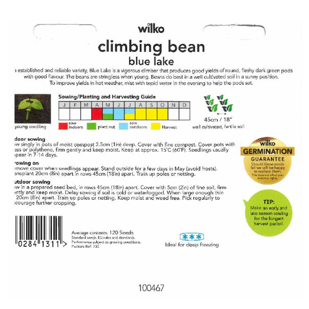Wilko Climbing Bean Blue Lake Seeds Image 3