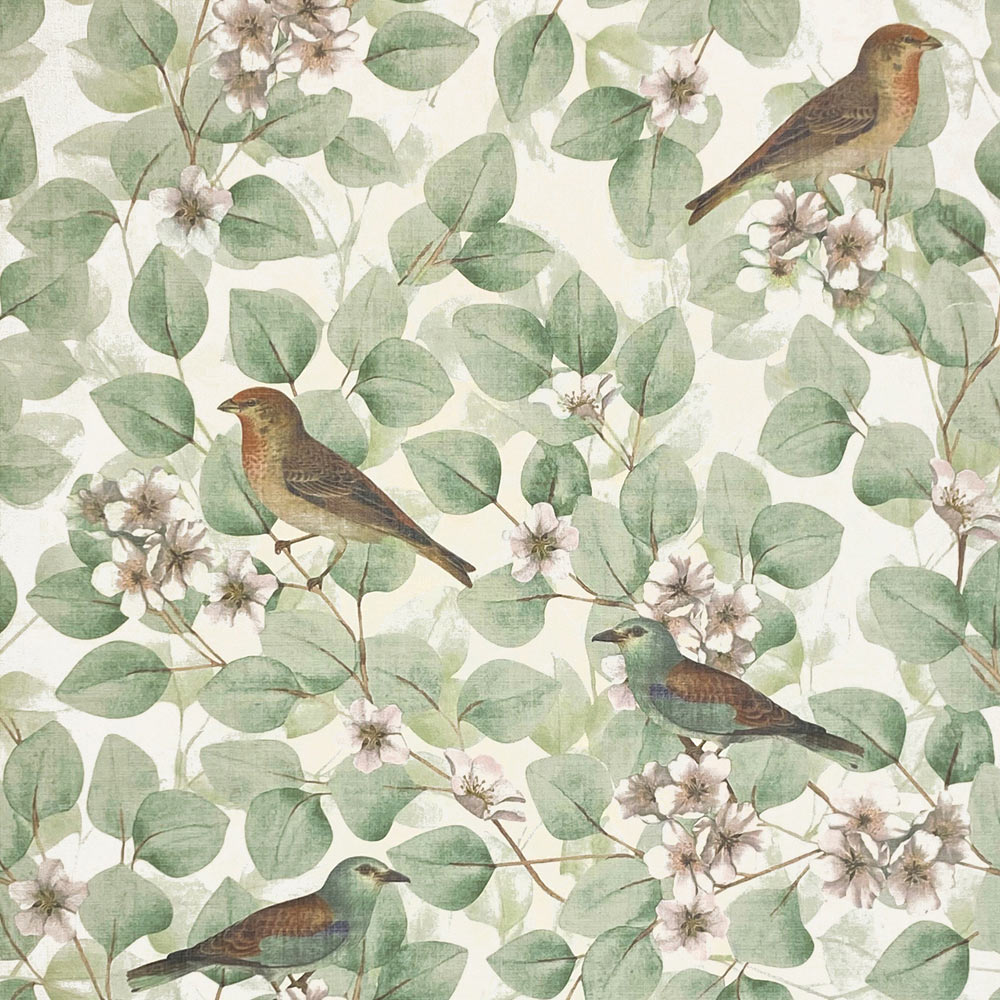 Arthouse Birds and Blossom Green Wallpaper Image 1