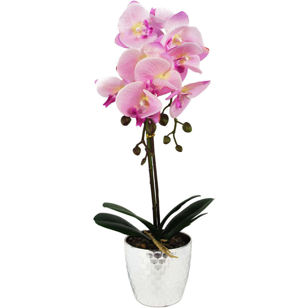 Leaf Pink Phalaenopsis Orchid Artificial Plant with Silver Pot 50cm Image 1