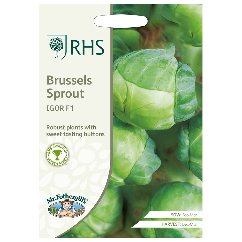 Mr Fothergills RHS Brussels Sprout Igor F1 Seeds Image 2