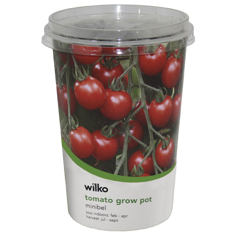 Wilko Cherry Tomato Gardener's Delight Veg Pot Image 3