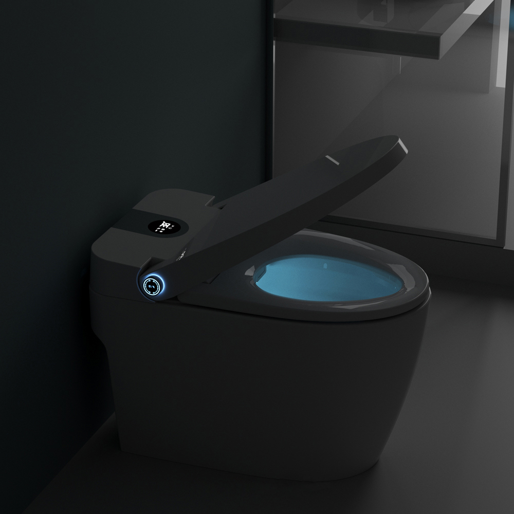 Ener-J Smart Intelligent Toilet Bidet Image 9