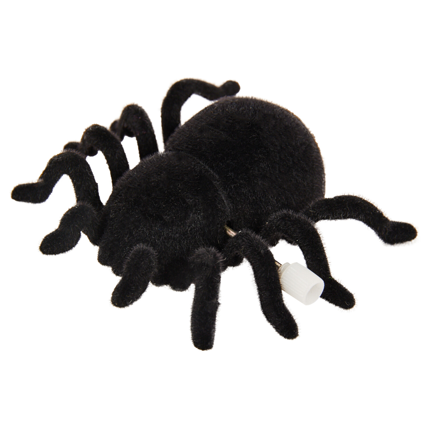 Windup Spider Cat Toy Image 9